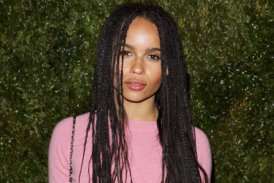 Key Facts About the Zoe Kravitz Accident: Jaden Smith Controversy