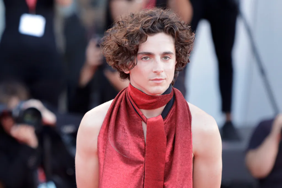 Timothée Chalamet Height, Weight, Career & Net Worth 2024